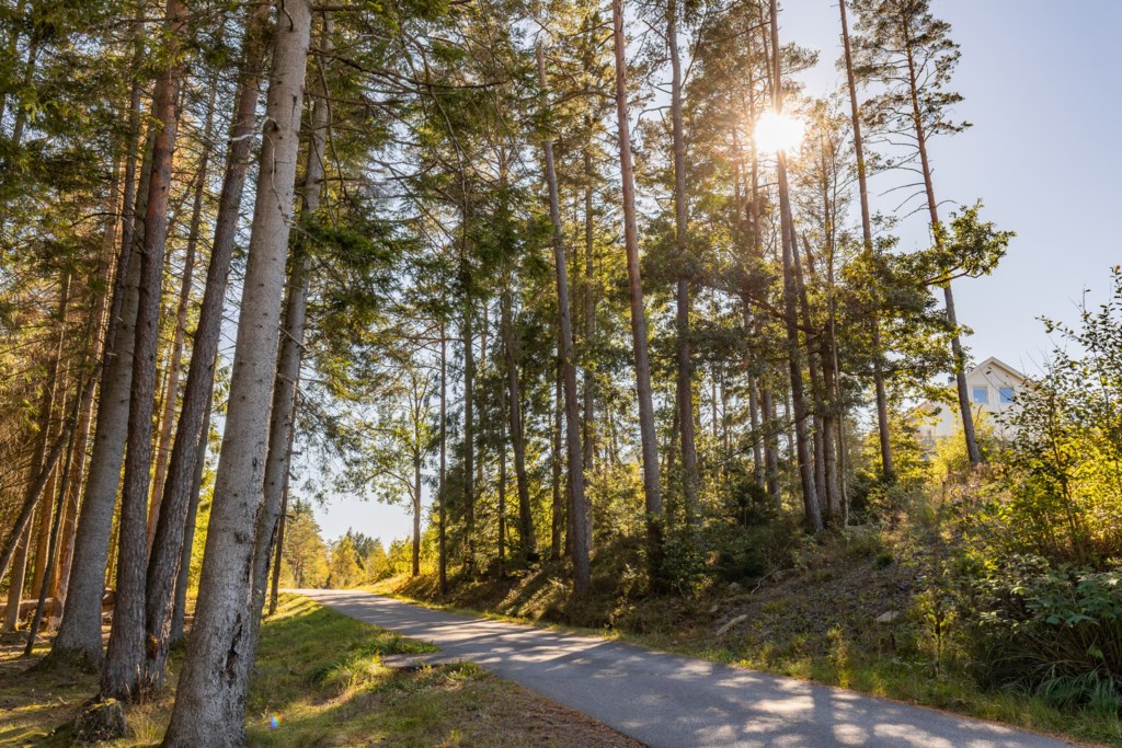 Smörvattnevägen 47 – vy