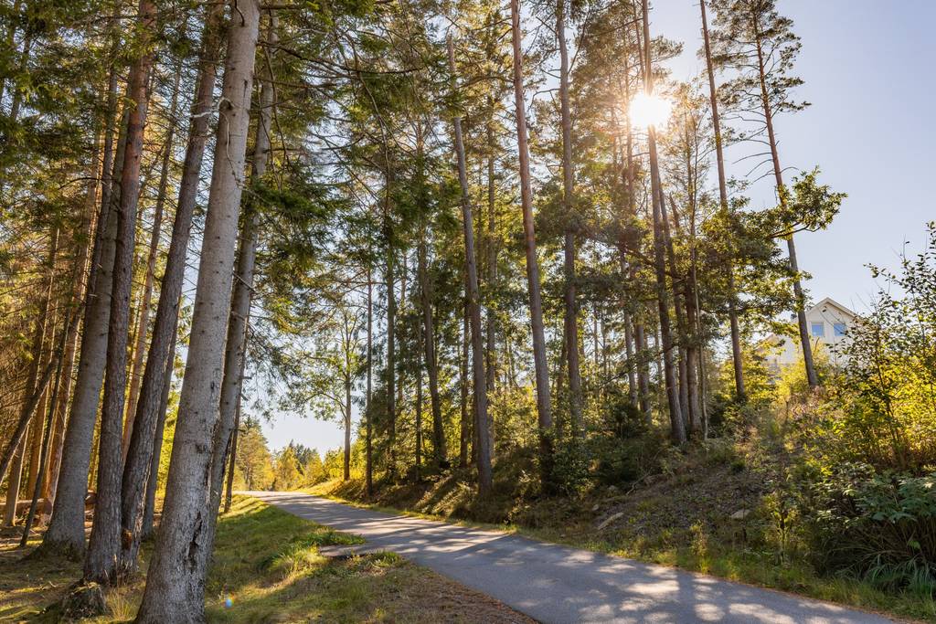 Smörvattnevägen 53 — villakoncept och område
